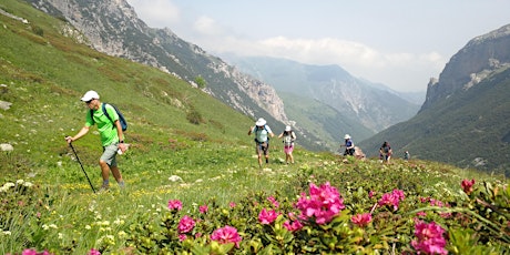 Small Group Walking Holidays in Europe - Online Presentation