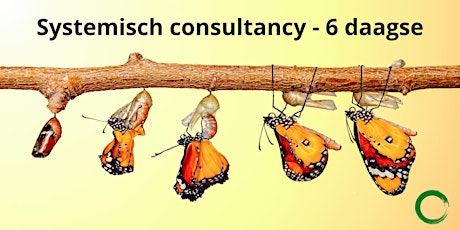 Systemisch consultancy - 6 daagse