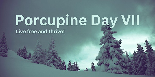 Porcupine Day VII