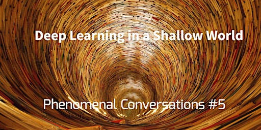Deep Learning in a Shallow World