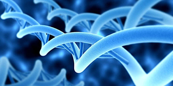 L’ADN : quelle utilité pour la généalogie ?