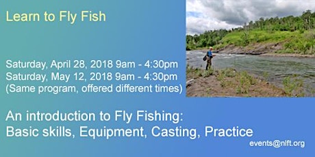 Learn to Fly Fish primary image
