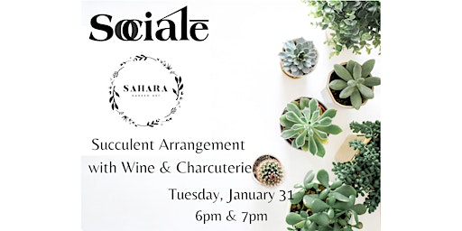 SOCIALE and SAHARA Succulent Arrangement with Wine and Charcuterie
