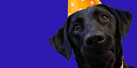 Stout, the Brewery Dog's "21st" Birthday Bash & Adoption Event
