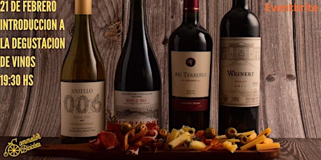Introducción al mundo del vino