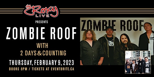 ZOMBIE ROOF W/ 2 DAYS & COUNTING