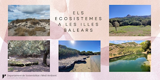Els ecosistemes a les Illes Balears