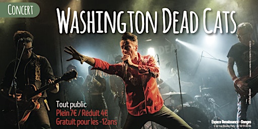 Concert Washington Dead Cats