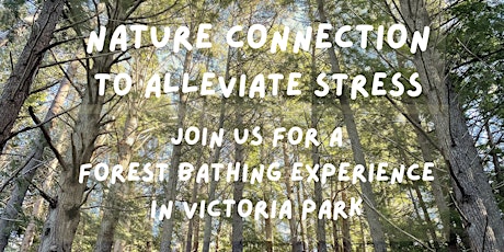 Nature Connection ... a Forest Bathing Experience in Victoria Park