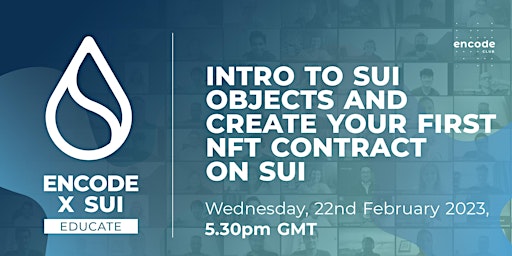 Sui Educate: Intro to Sui Objects & Create your first NFT contract on Sui