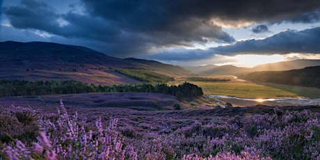 An unexpected journey: managing a National Trust for Scotland property primary image