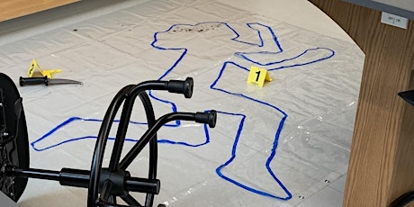 Science Detectives: Use Forensic Techniques to Solve a Crime!