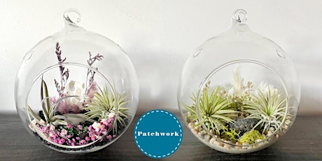 Patchwork Presents Air Plant Terrarium Craft Workshop