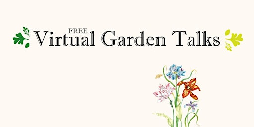 Healthy Garden Talk - Plants That Bring Pollinators into Your Garden