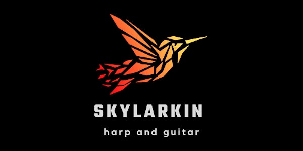 Skylarkin' harp and guitar duo