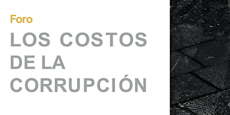 Imagen principal de Los Costos de la Corrupción: Democracia y reconstrucción.