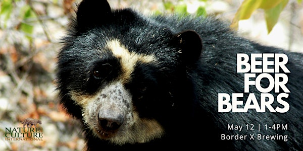 Beer for Bears