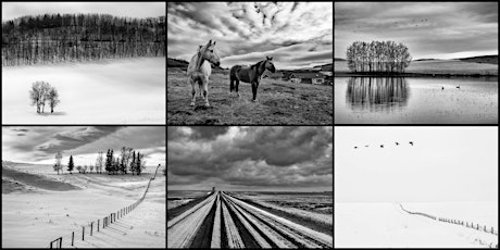 Coffee Talk: Capturing the Prairies in Black & White