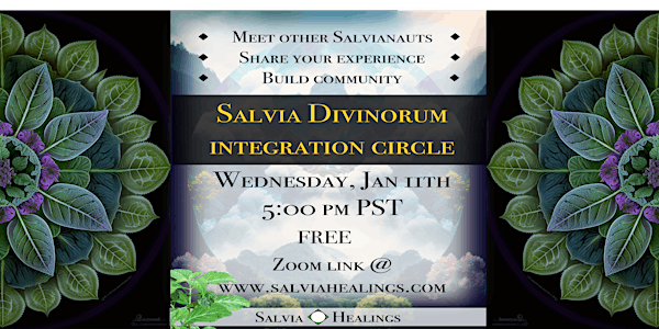 Salvia Integration Circle