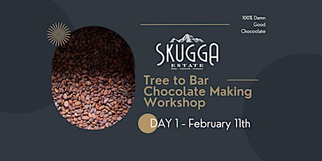 Tree to Bar Chocolate Making Workshop - Day 1