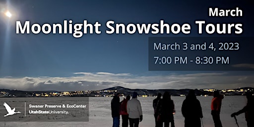 March Moonlight Snowshoe Tours primary image