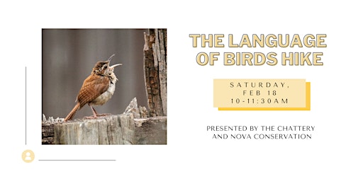 The Language of Birds Hike - OUTDOOR CLASS