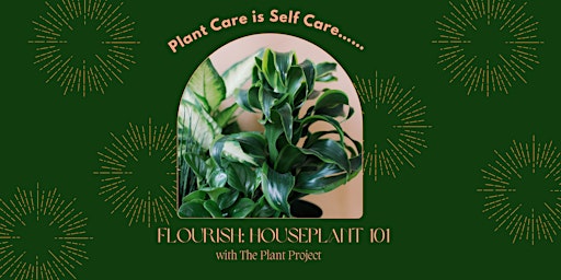 FLOURISH: Houseplant 101