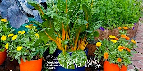 Container Gardening for Balconies & Small Spaces primary image