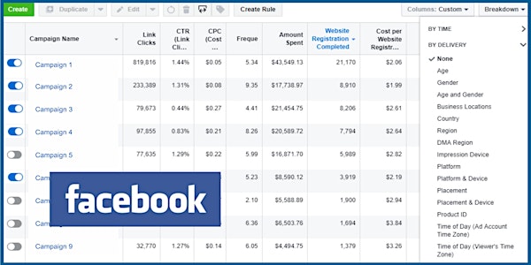 Advertise Like A Pro on Facebook