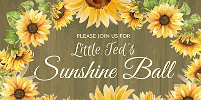 Little Ted's Sunshine Ball