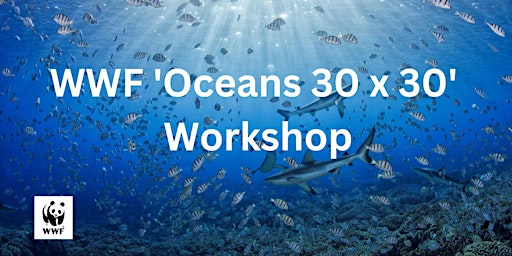 WWF Oceans  '30 x 30' Workshop
