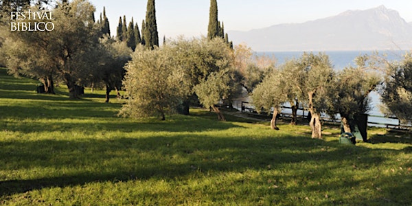 Investire sulla «terra buona»: la bellezza dell’olivo e la bontà dell’olio