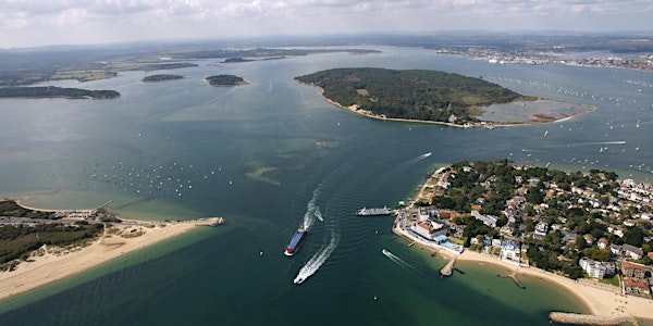 Spotlight on Poole Harbour: Environment & Economics