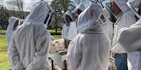 NBB Apiary Field Day - January 2023 primary image