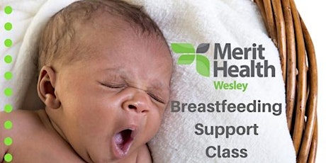Breastfeeding Support Class primary image