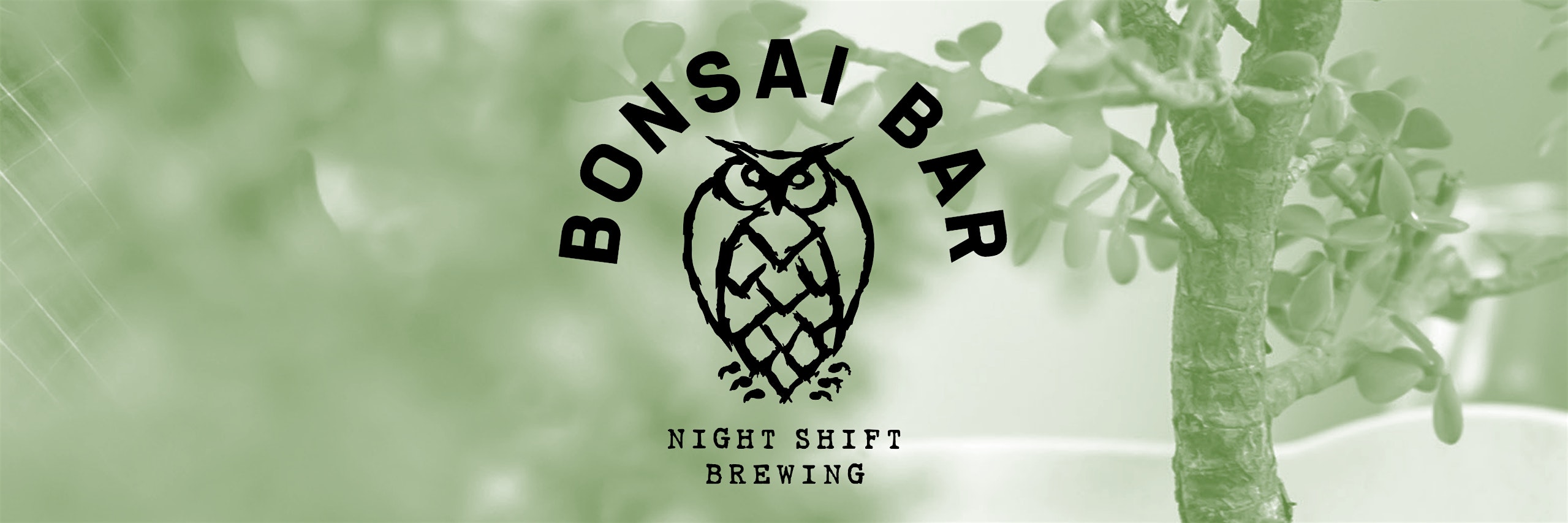 Bonsai Bar @ Night Shift Brewing