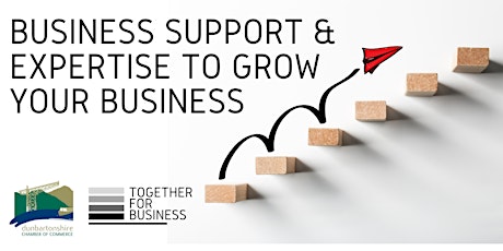 Business Support & Expertise to Grow Your Business