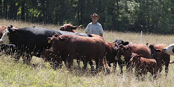 Lessons We Can Learn From The Pasture