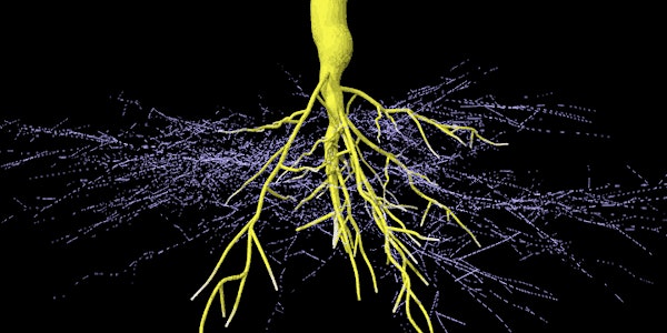 Roots and Rhizosphere Symposium 2018: Underground solutions to global challenges