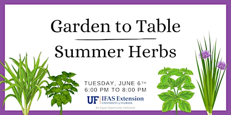 Garden to Table: Summer Herbs