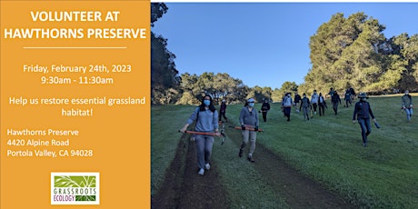 Give to the Grasslands: Volunteer in Portola Valley at Hawthorns Preserve