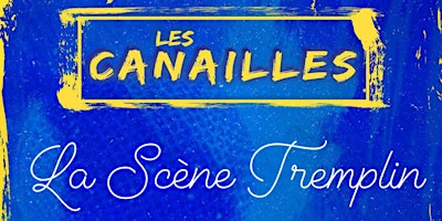 AUDITIONS PUBLIQUES La Scène Tremplin du Levallois Comedy Club