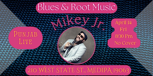 Mikey Jr. Band ~ Blues & Root Music primary image