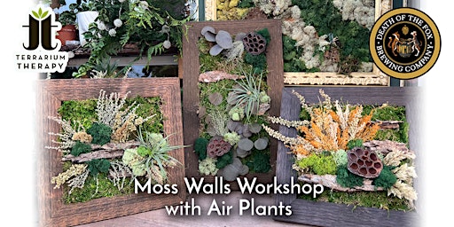 In-Person Moss Wall with Air Plant Workshop at Death of the Fox Brewing