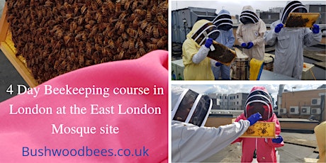 Beekeeping Course in London at the East London Mosque - 4 days in June