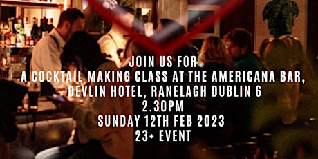 WLM Galentines Day Cocktail Making at The Americana Bar Devlin Hotel Dublin