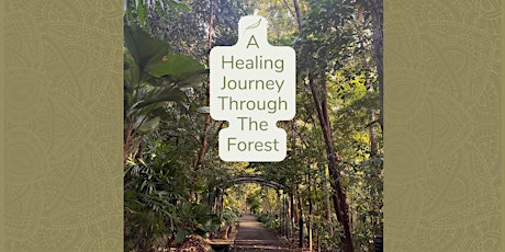 A Healing Journey Through The Forest