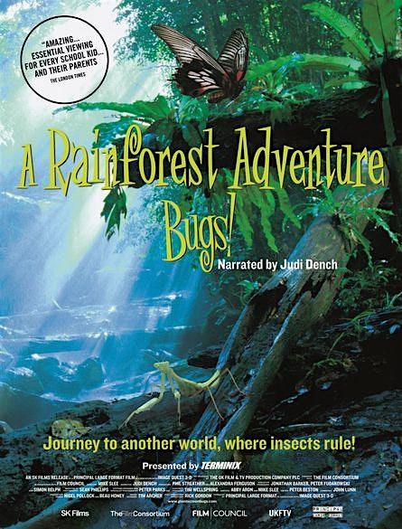 BUGS! A Rainforest Adventure