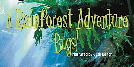 BUGS! A Rainforest Adventure