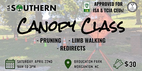 Canopy Class: Pruning, Limb Walking, & Redirects